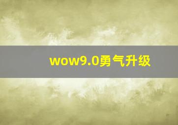 wow9.0勇气升级