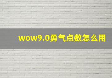 wow9.0勇气点数怎么用