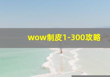 wow制皮1-300攻略