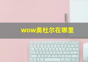 wow奥杜尔在哪里