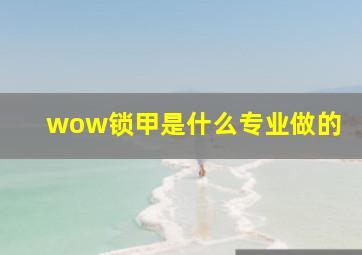 wow锁甲是什么专业做的