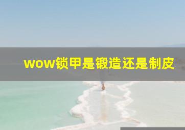 wow锁甲是锻造还是制皮