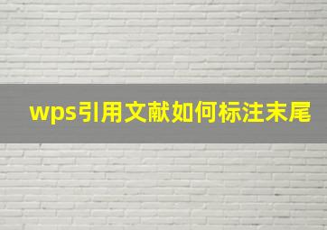 wps引用文献如何标注末尾