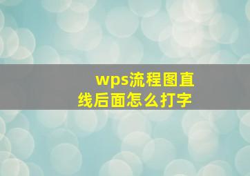 wps流程图直线后面怎么打字