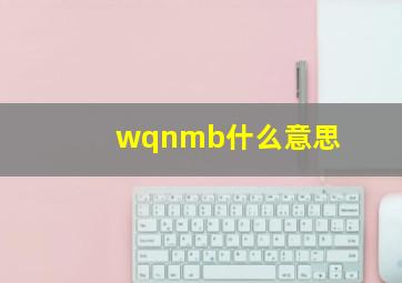 wqnmb什么意思