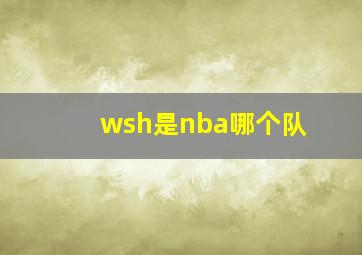 wsh是nba哪个队