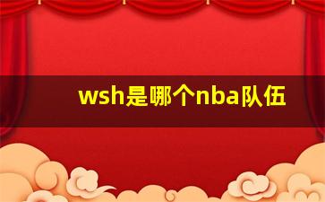 wsh是哪个nba队伍