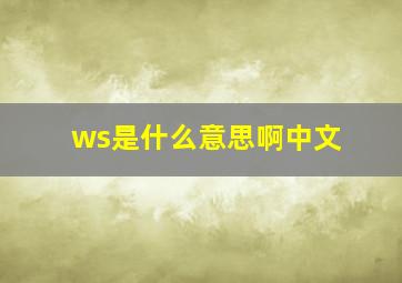 ws是什么意思啊中文