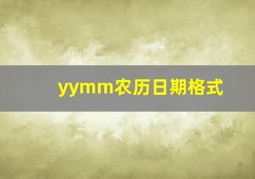 yymm农历日期格式