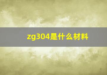 zg304是什么材料