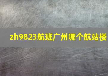 zh9823航班广州哪个航站楼