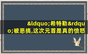 “希特勒”被恶搞,这次元首是真的愤怒了!