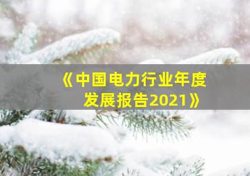 《中国电力行业年度发展报告2021》