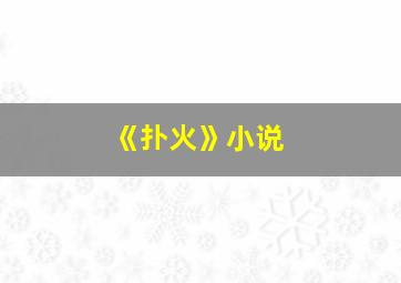 《扑火》小说