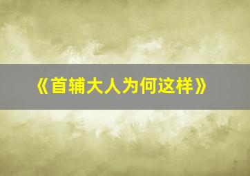 《首辅大人为何这样》