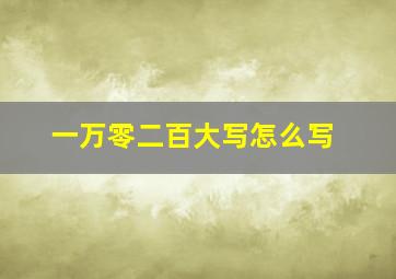 一万零二百大写怎么写