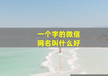 一个字的微信网名叫什么好