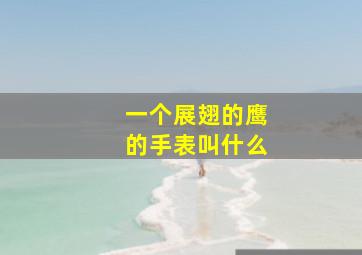 一个展翅的鹰的手表叫什么