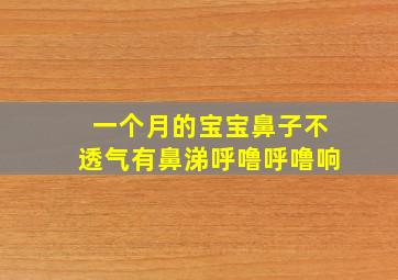 一个月的宝宝鼻子不透气有鼻涕呼噜呼噜响