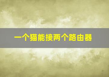 一个猫能接两个路由器