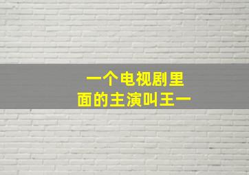 一个电视剧里面的主演叫王一