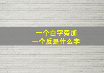 一个白字旁加一个反是什么字