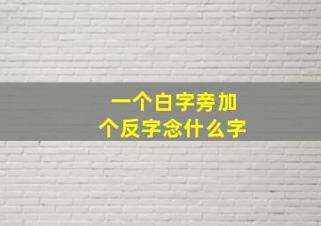 一个白字旁加个反字念什么字