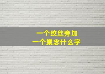 一个绞丝旁加一个巢念什么字