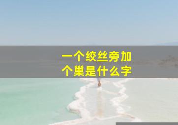 一个绞丝旁加个巢是什么字