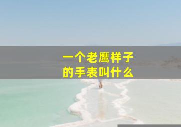 一个老鹰样子的手表叫什么