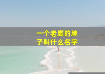 一个老鹰的牌子叫什么名字