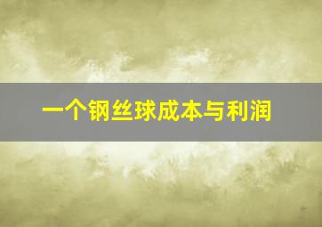 一个钢丝球成本与利润