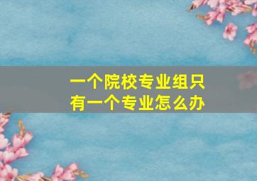 一个院校专业组只有一个专业怎么办