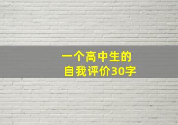 一个高中生的自我评价30字