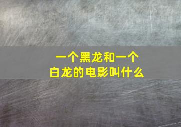 一个黑龙和一个白龙的电影叫什么