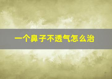 一个鼻子不透气怎么治