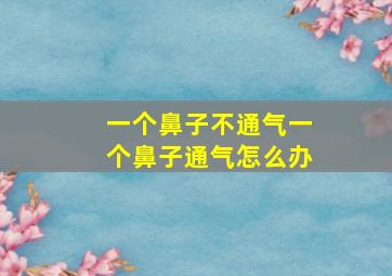 一个鼻子不通气一个鼻子通气怎么办