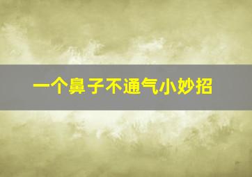 一个鼻子不通气小妙招