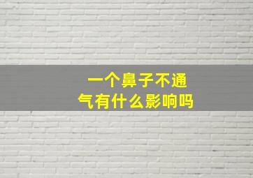 一个鼻子不通气有什么影响吗