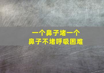 一个鼻子堵一个鼻子不堵呼吸困难