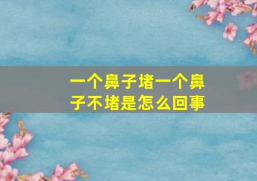 一个鼻子堵一个鼻子不堵是怎么回事