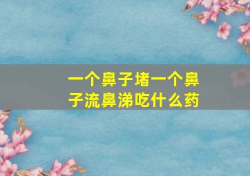 一个鼻子堵一个鼻子流鼻涕吃什么药