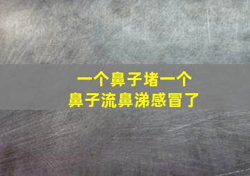 一个鼻子堵一个鼻子流鼻涕感冒了