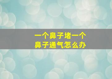 一个鼻子堵一个鼻子通气怎么办