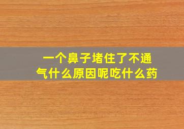 一个鼻子堵住了不通气什么原因呢吃什么药