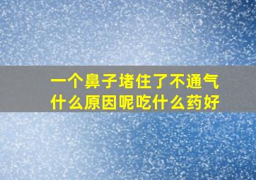 一个鼻子堵住了不通气什么原因呢吃什么药好