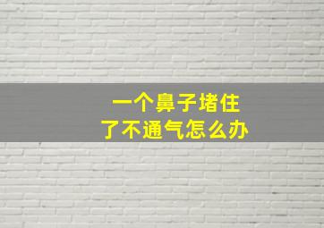 一个鼻子堵住了不通气怎么办