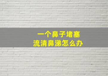 一个鼻子堵塞流清鼻涕怎么办