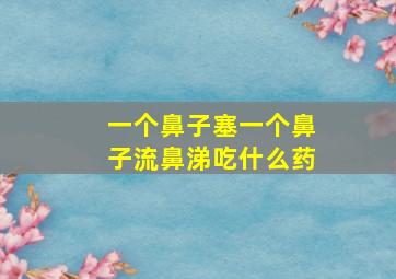 一个鼻子塞一个鼻子流鼻涕吃什么药