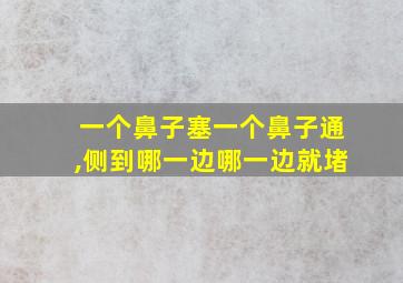 一个鼻子塞一个鼻子通,侧到哪一边哪一边就堵